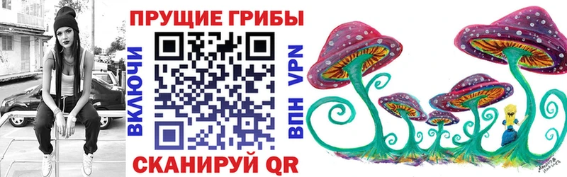 ссылка на мегу рабочий сайт  Шенкурск  Галлюциногенные грибы GOLDEN TEACHER 